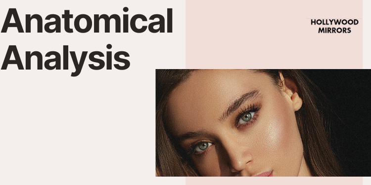 Anatomical Analysis