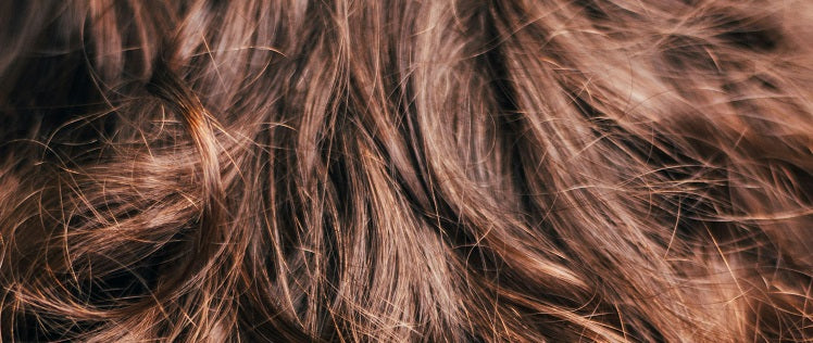 Dry Hair: Understanding the Signs, Uncovering the Causes, and Exploring Therapeutic Measures